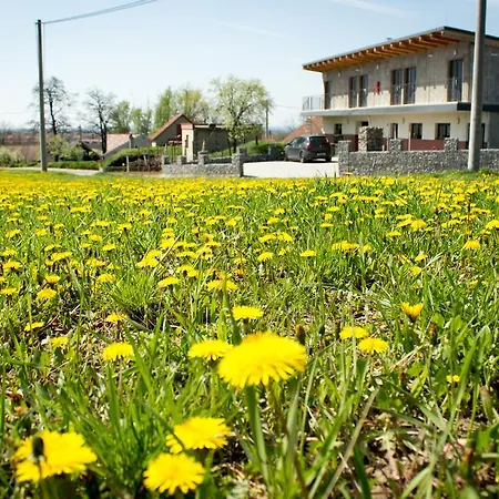Vinarsky Predni Hora Affittacamere