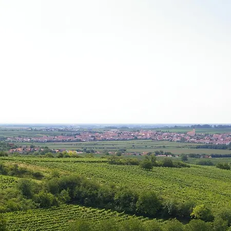 Affittacamere Vinarsky Predni Hora
